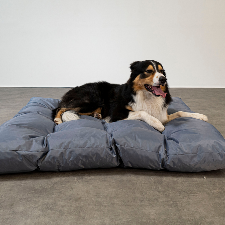 Cesta para Cão - 125x110x15 cm