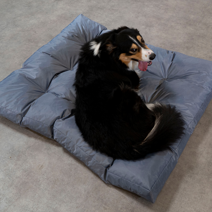 Cesta para Cão - 125x110x15 cm
