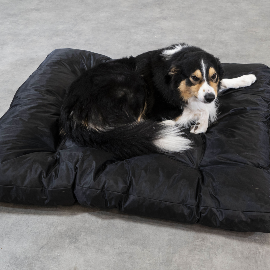 Cesta para Cão - 125x110x15 cm