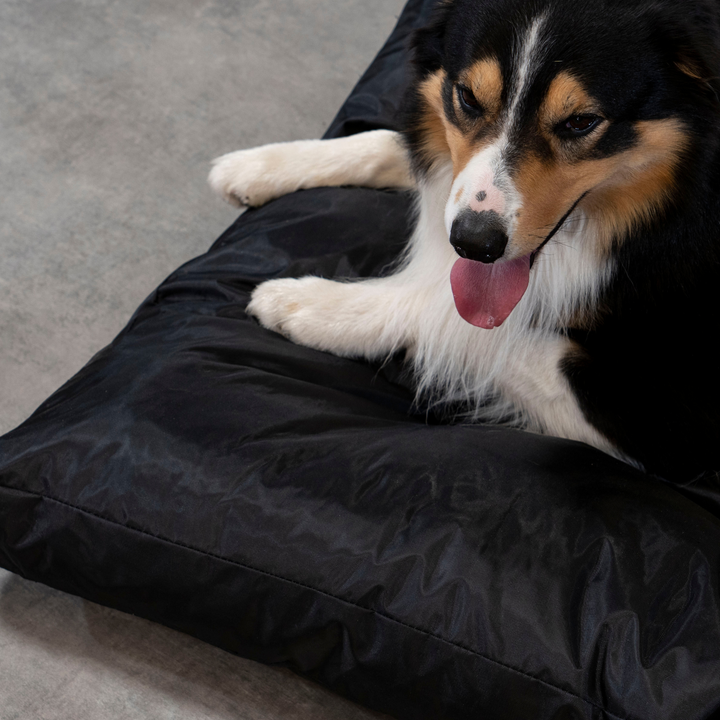 Cesta para Cão - 125x110x15 cm