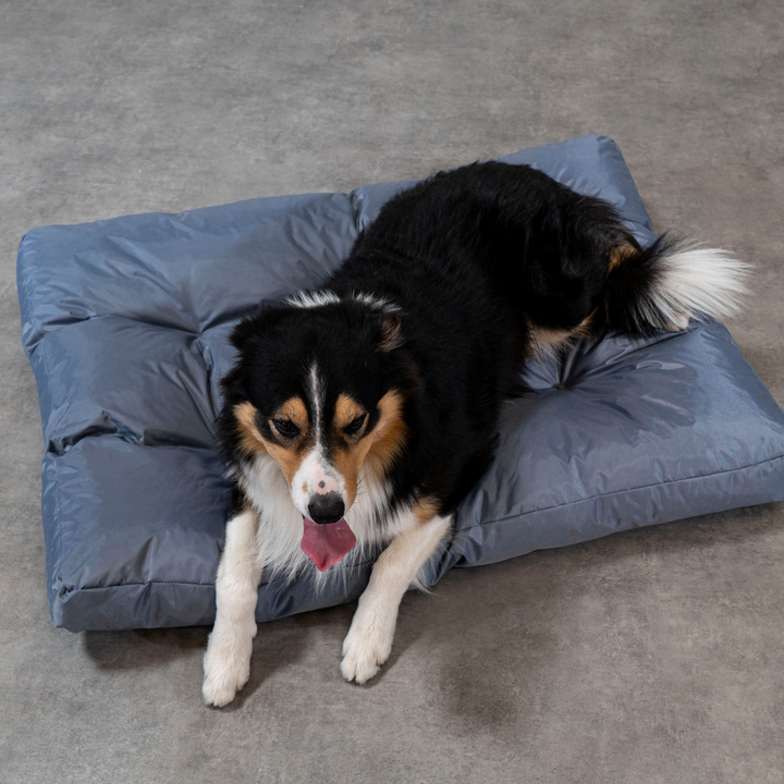 Cesta para Cão - 110x85x10 cm