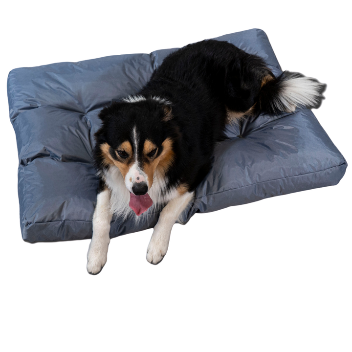 Cesta para Cão - 110x85x10 cm