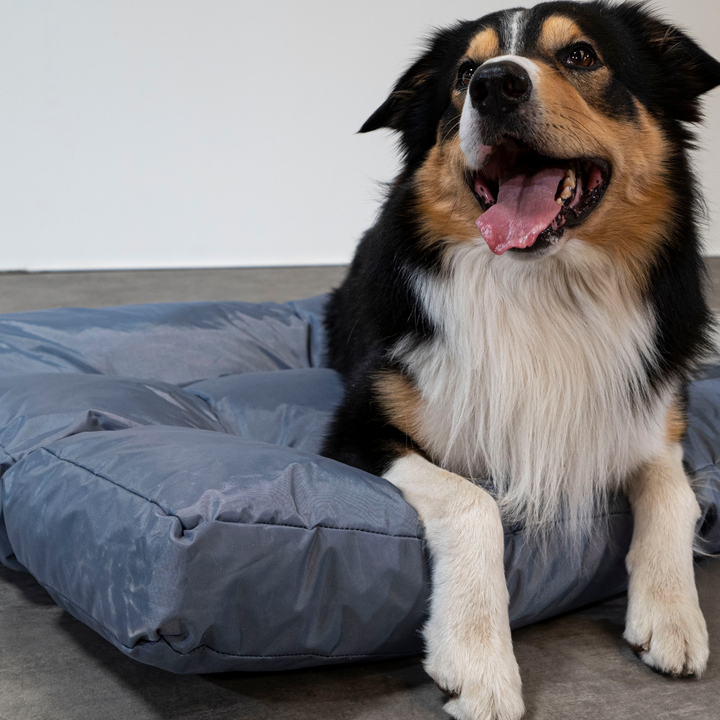 Cesta para Cão - 110x85x10 cm