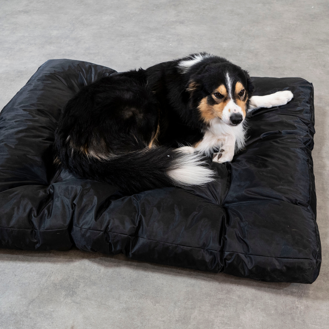 Cesta para Cão - 110x85x10 cm