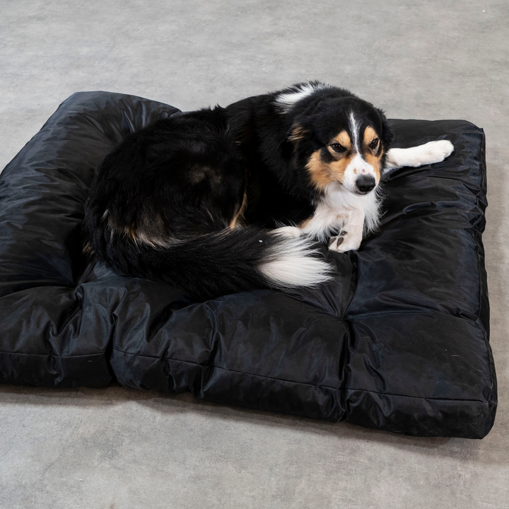 Cesta para Cão - 110x85x10 cm