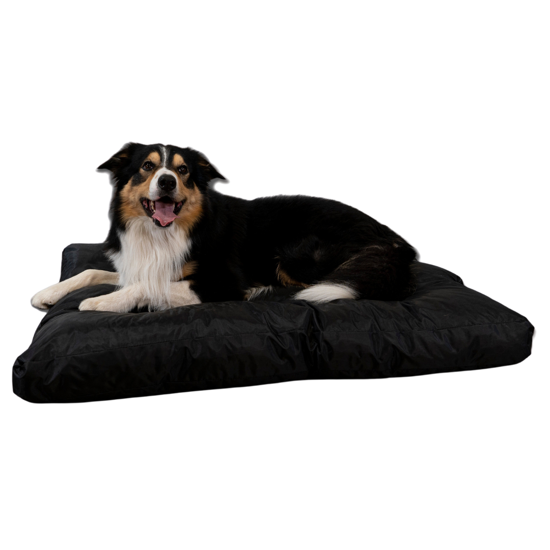 Cesta para Cão - 110x85x10 cm